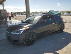 Salvage cars for sale at West Palm Beach, FL auction: 2013 Hyundai Veloster