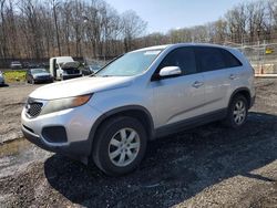 KIA Sorento Vehiculos salvage en venta: 2011 KIA Sorento Base