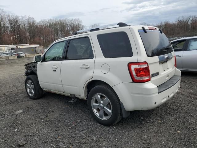 2011 Ford Escape Limited