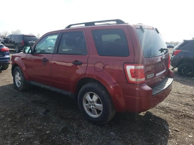 2010 Ford Escape XLT