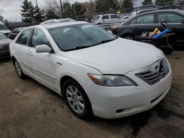 2008 Toyota Camry Hybrid