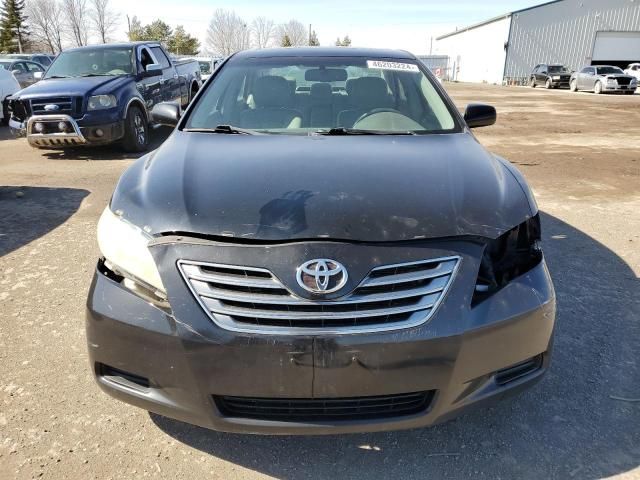 2009 Toyota Camry Hybrid