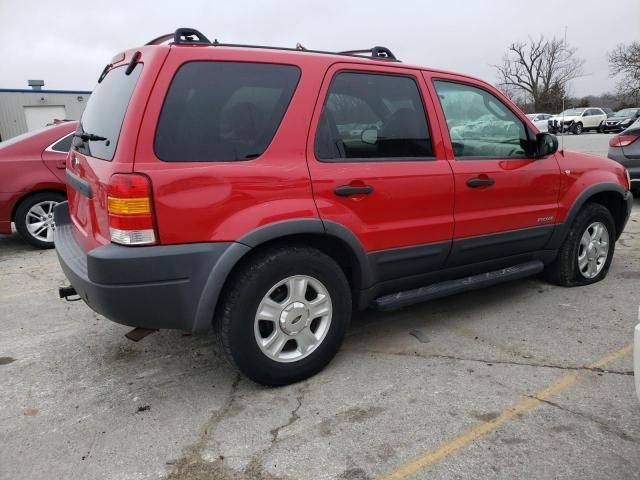 2001 Ford Escape XLT