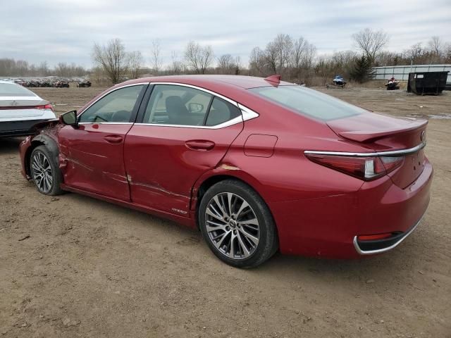 2019 Lexus ES 300H