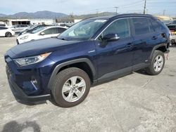 Toyota Rav4 salvage cars for sale: 2019 Toyota Rav4 XLE