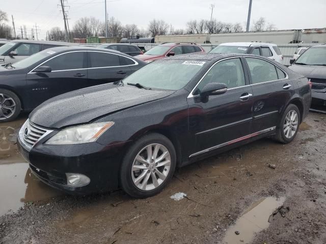 2010 Lexus ES 350