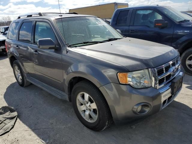 2011 Ford Escape Limited