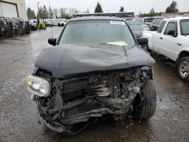 2005 Ford Escape XLT