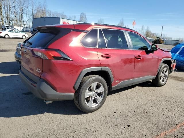 2023 Toyota Rav4 XLE