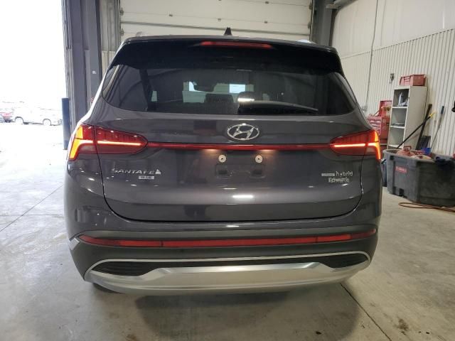 2021 Hyundai Santa FE Blue