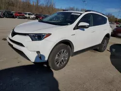 Salvage cars for sale from Copart Bridgeton, MO: 2017 Toyota Rav4 HV LE