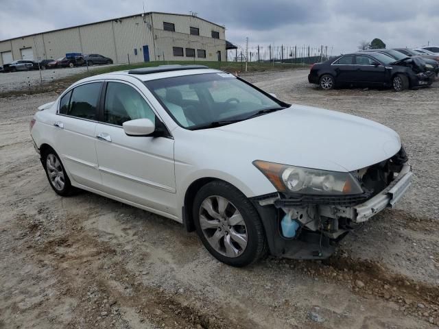 2009 Honda Accord EXL