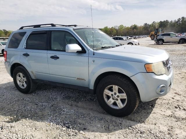 2008 Ford Escape HEV