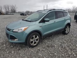 Salvage Cars with No Bids Yet For Sale at auction: 2013 Ford Escape SE