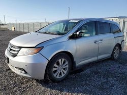 Salvage cars for sale at Ottawa, ON auction: 2014 Honda Odyssey EXL