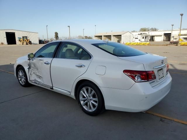 2010 Lexus ES 350