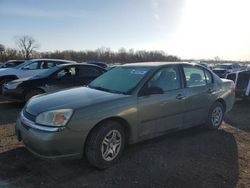 Chevrolet Malibu salvage cars for sale: 2005 Chevrolet Malibu