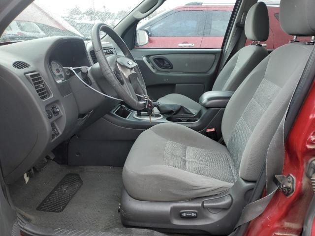 2005 Ford Escape XLT