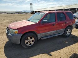 Salvage cars for sale from Copart Phoenix, AZ: 2006 Ford Escape XLT