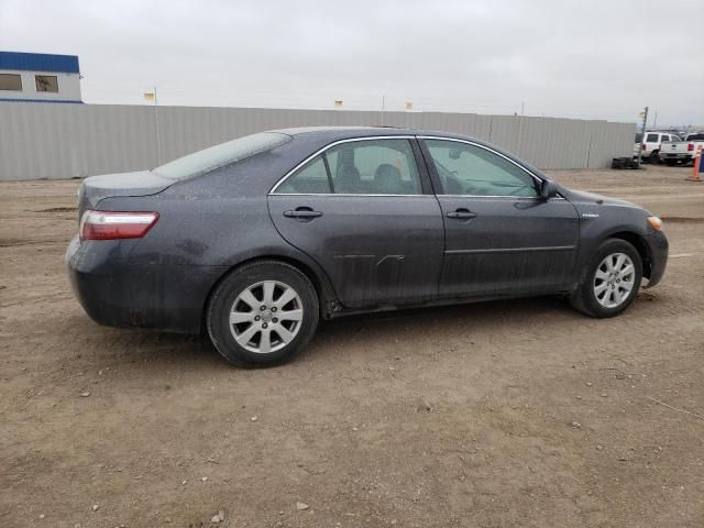 2009 Toyota Camry Hybrid