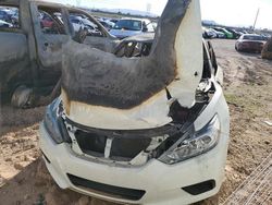 Salvage cars for sale from Copart Tucson, AZ: 2016 Nissan Altima 2.5