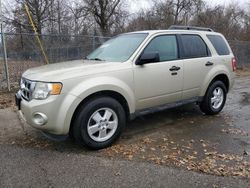 Ford Escape XLT salvage cars for sale: 2011 Ford Escape XLT