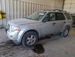 Ford Escape XLT salvage cars for sale: 2010 Ford Escape XLT