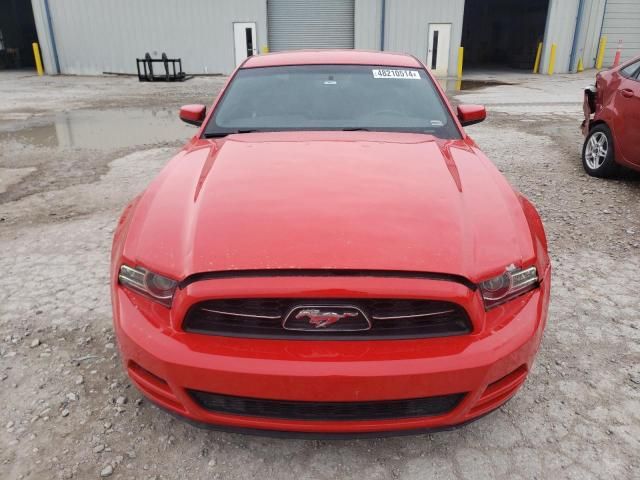 2013 Ford Mustang