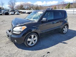Salvage cars for sale from Copart Grantville, PA: 2010 KIA Soul +