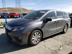 Salvage cars for sale at Littleton, CO auction: 2019 Honda Odyssey LX