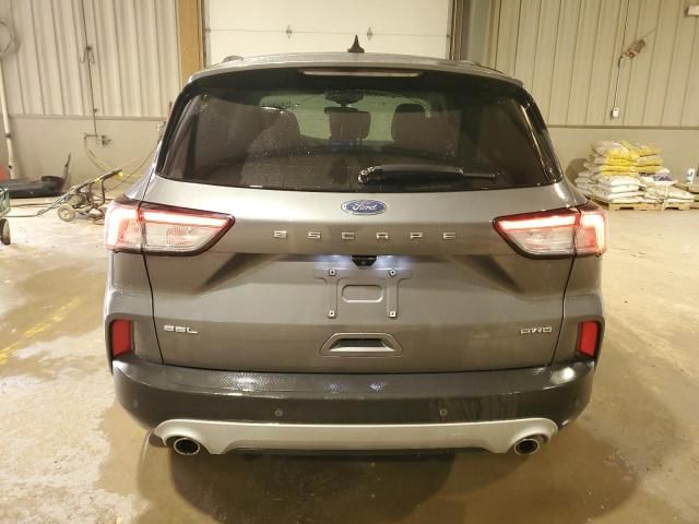 2021 Ford Escape SEL