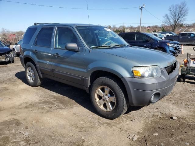 2006 Ford Escape XLT