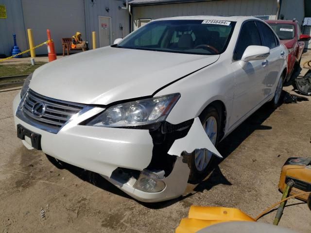 2010 Lexus ES 350