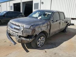 Salvage trucks for sale at Gaston, SC auction: 2014 Ford F150 Supercrew