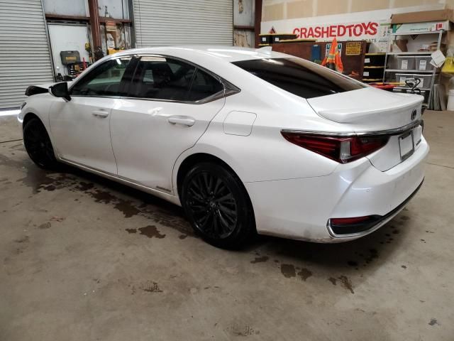 2019 Lexus ES 300H