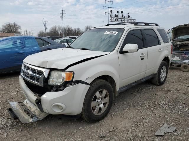 2011 Ford Escape Limited