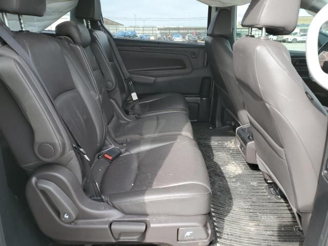 2019 Honda Odyssey EXL