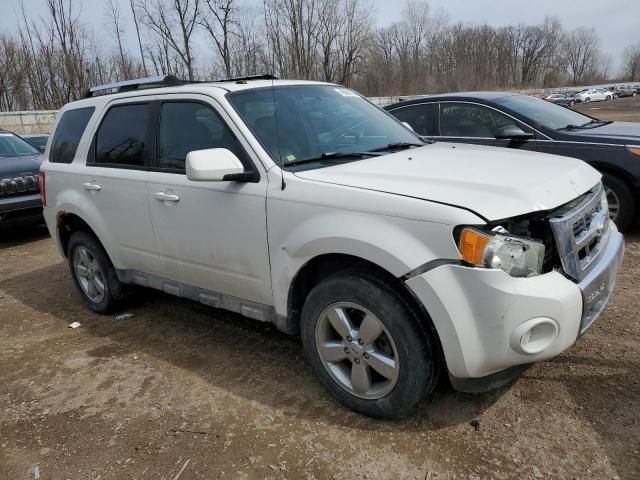 2009 Ford Escape Limited