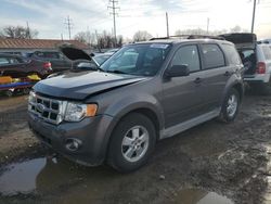 2010 Ford Escape XLT for sale in Columbus, OH