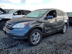 Salvage cars for sale from Copart Reno, NV: 2011 Honda CR-V EXL