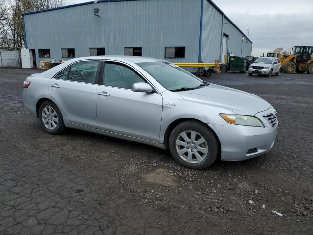 2008 Toyota Camry Hybrid