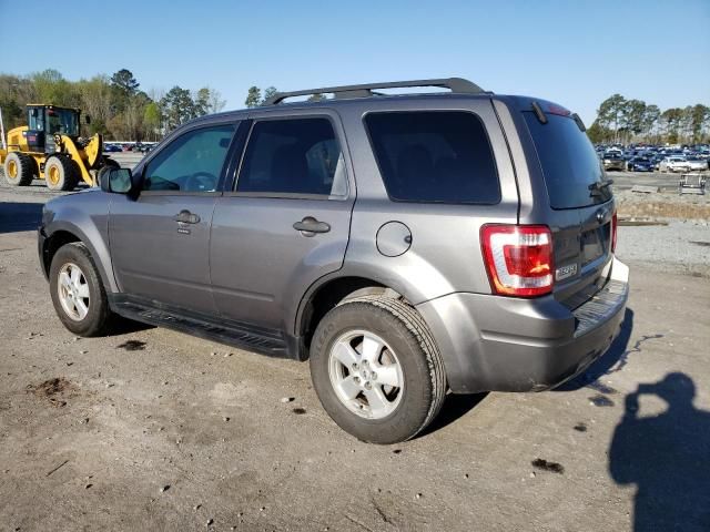 2012 Ford Escape XLT