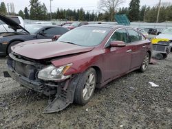 Salvage cars for sale at Graham, WA auction: 2011 Nissan Maxima S