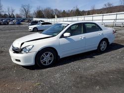 Salvage cars for sale from Copart Grantville, PA: 2007 Honda Accord EX