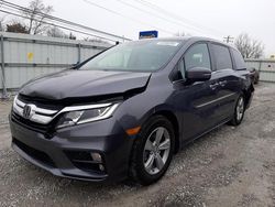 Honda salvage cars for sale: 2019 Honda Odyssey EXL