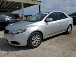 KIA Forte EX salvage cars for sale: 2013 KIA Forte EX