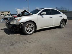 Nissan Maxima salvage cars for sale: 2013 Nissan Maxima S