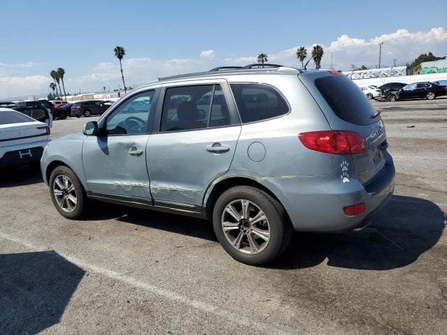 2007 Hyundai Santa FE SE