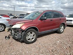 Honda salvage cars for sale: 2010 Honda CR-V EX