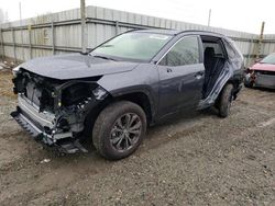 Salvage cars for sale from Copart Arlington, WA: 2024 Toyota Rav4 XLE Premium